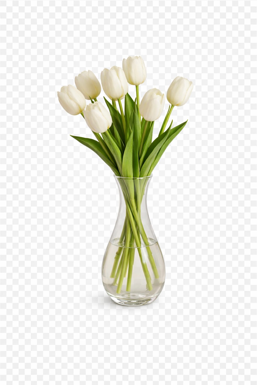 whatsapp image 2026 03 30 at 11.16.18